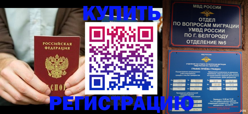 прописка 2025 в Приволжске